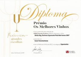 Pinot Noir 2007 – Os melhores Vinhos de 2017 na categoria dos Espumantes pela Revista VINHO Grandes Escolhas